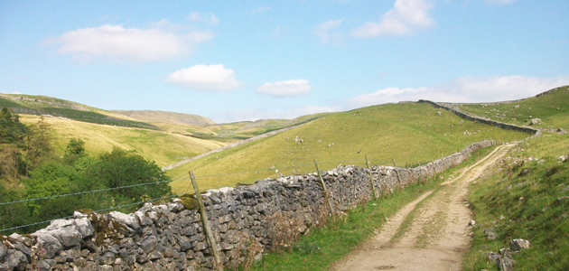 Walking  through silence