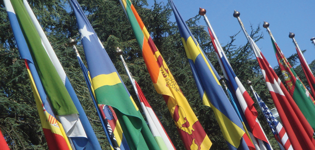 What we do and why we do it