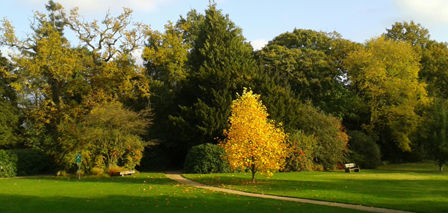 A contemplative time