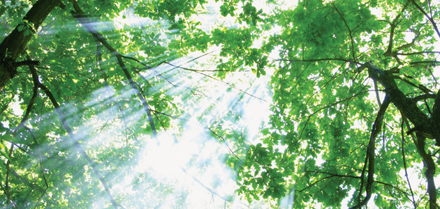 Experiment with Light: Truth of the heart