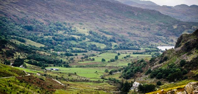 Welsh Quakers walk the talk
