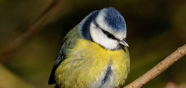 Eye - 18 November 2011