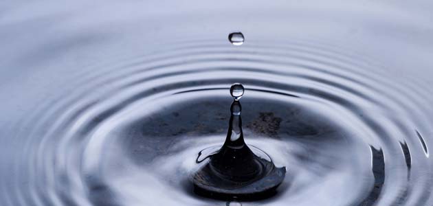 Quaker political engagement