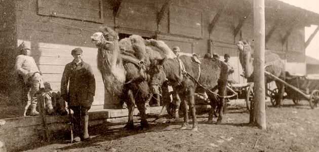 Eye - 05 December 2014