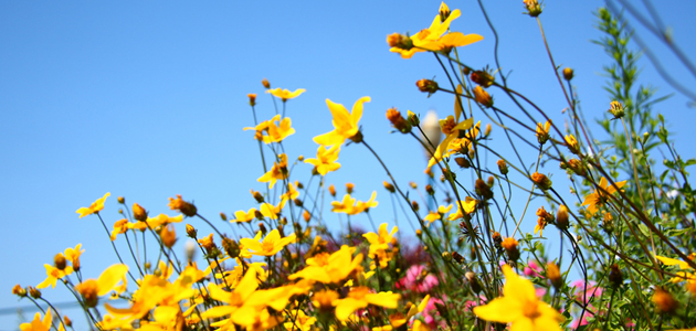 Eye - 31 August 2012