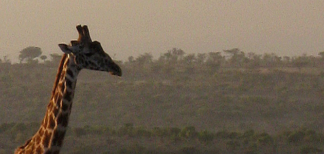 Quakers in the World (Africa): Unity in diversity