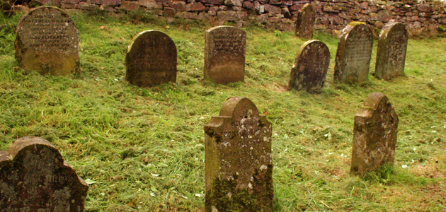 Are we afraid to die?