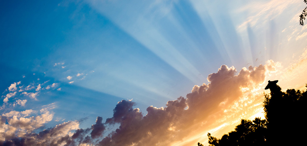 Opening up the heart