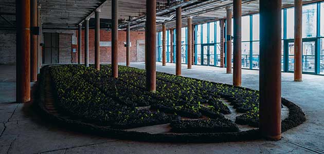 Brought to heal: Sarah Alldred and Penelope Gouk visit the Liverpool Biennial of Contemporary Art