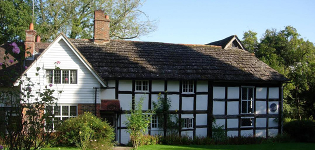 Blue Idol on ‘at risk’ list