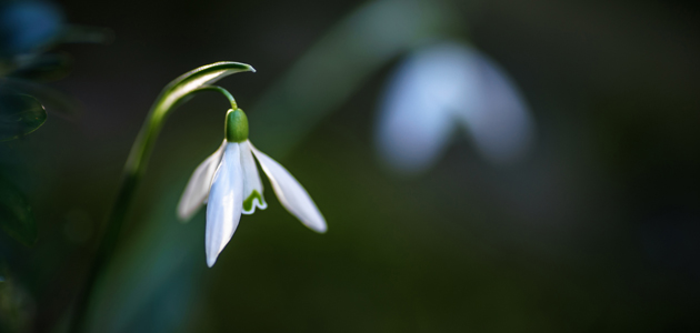 Quakers and spirituality