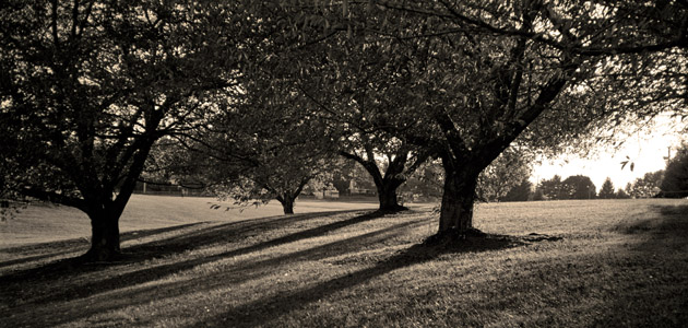 The long shadow of war