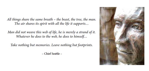 Silence in the midst of noise