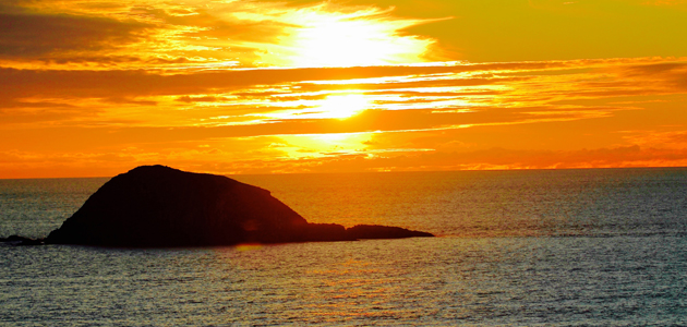 Mental health: the challenge