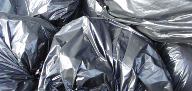 Truth, garbage and politics