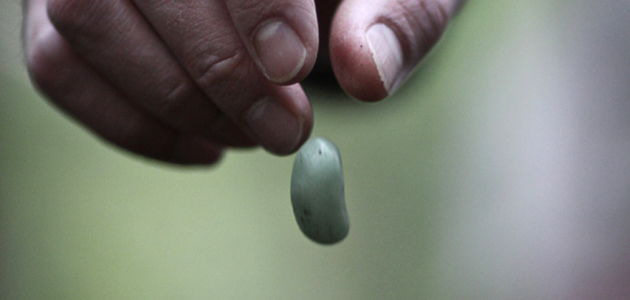 Low carbon, sustainable fun