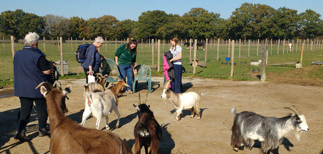 Communing with animals