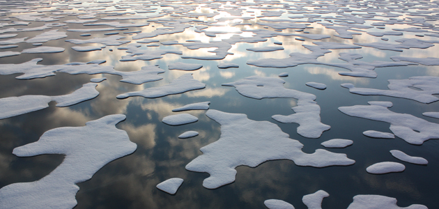 Gleanings: Seeking unity