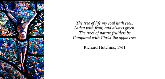 Images of Christ: Jesus Christ the Apple Tree