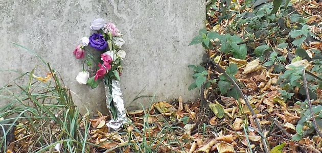 Eye - 23 September 2016