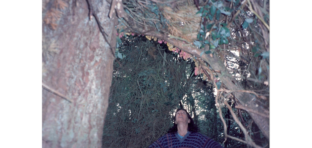 Protection of the Light