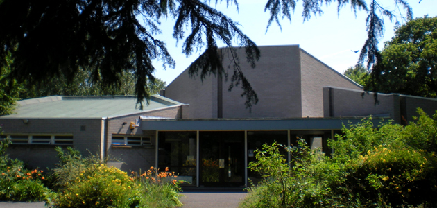 Reflections from experience