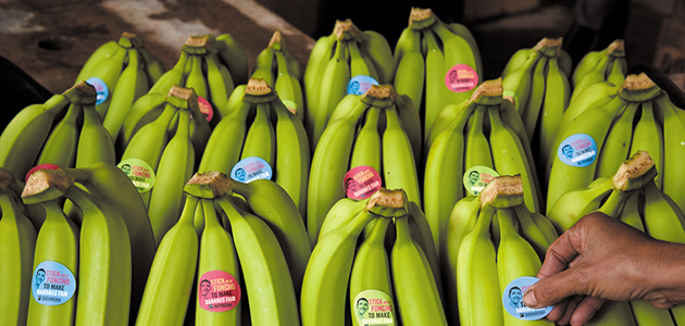 Fairtrade Fortnight highlights ‘banana wars’