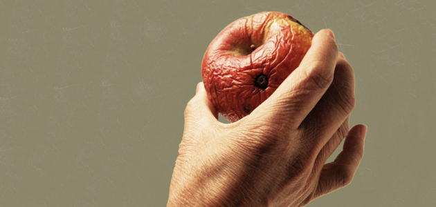 Rotten barrels or rotten apples?