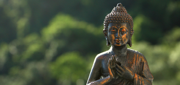 Buddhist wisdom and the earth