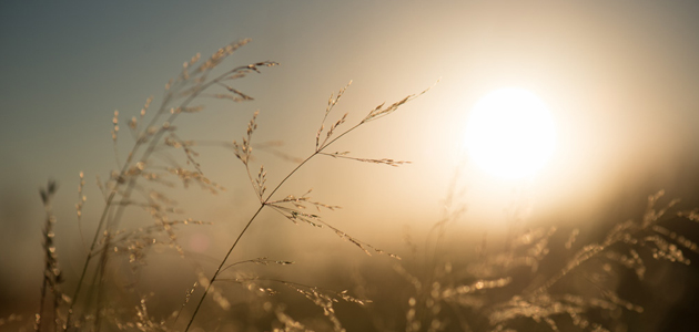 What does love require of us?