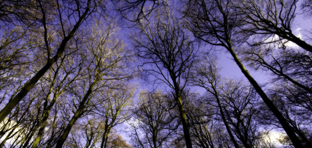 When do we close our minds?