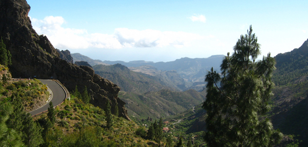 Quakers in the Canaries