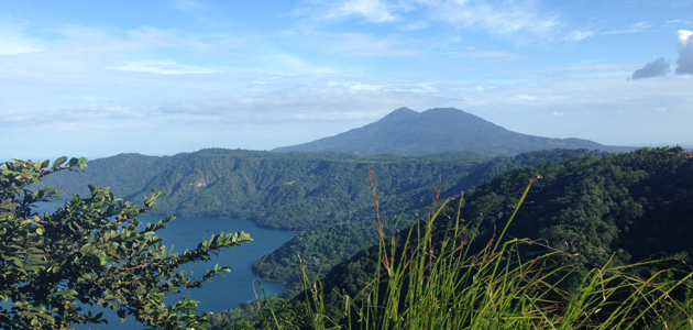 The story of ProNica