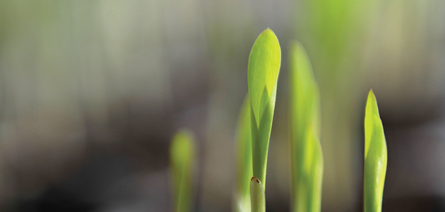 Philosophy for communities