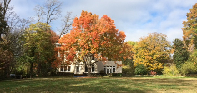 Six weeks at Pendle Hill