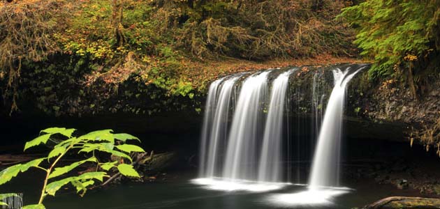 Quakers and creation: Unity with the creation