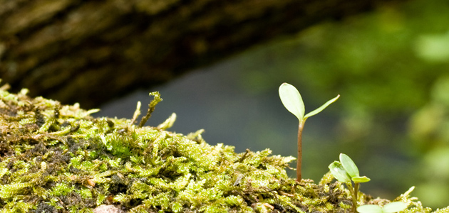 Being human and priest