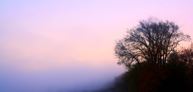 Exploring the mystery of mysticism