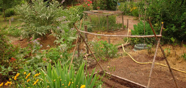 Friends of permaculture