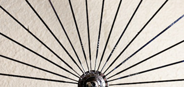 Diversity: problem or opportunity?