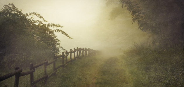 New light from an unexpected source