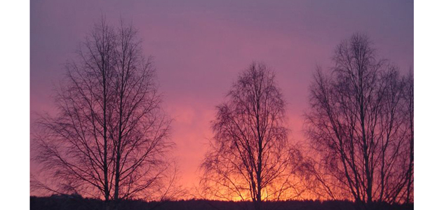 Celebrations at Rovaniemi