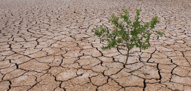 The Kabarak call for peace and ecojustice