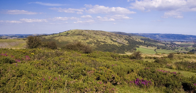 Love to the loveless