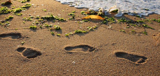 Postcards from the future