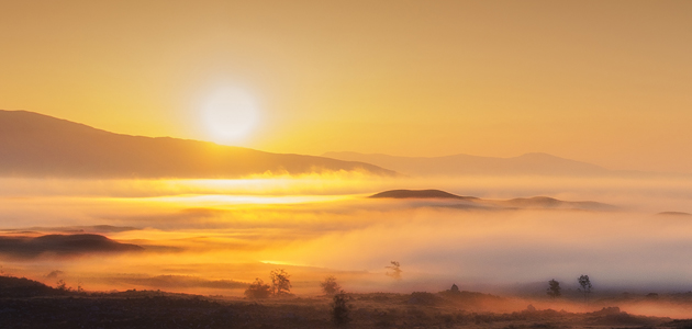 Engaging with creation