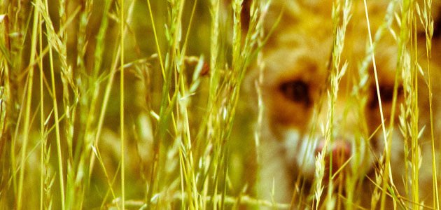 Moment’s benediction