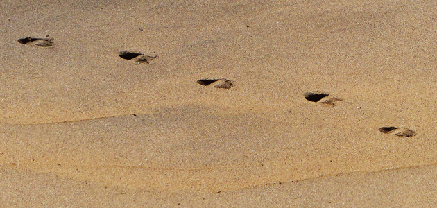 Simplicity: The Twelve Steps