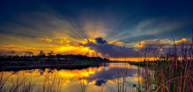 ‘Coming out’ is testimony