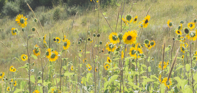 Christ at the centre